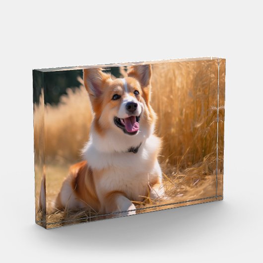 Bloc Photo Photo personnalisée pour animaux (Gauche)