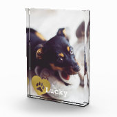 Bloc Photo Photo pour animal de compagnie Empreinte de patte  (Droite)