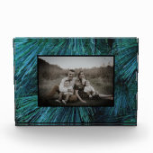 Bloc Photo Pin rustique pin pinède vert à feuillage persistan (Devant)