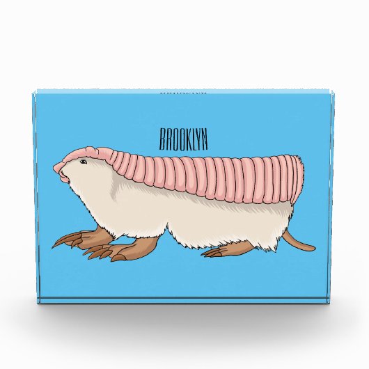 Bloc Photo Pink fairy armadillo cartoon illustration (Devant)