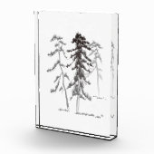 Bloc Photo Pins (Droite)