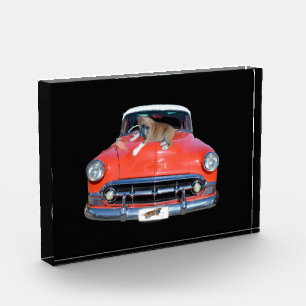 Bloc Photo Pitbull Puppy Sur Une Voiture Rouge Classique,