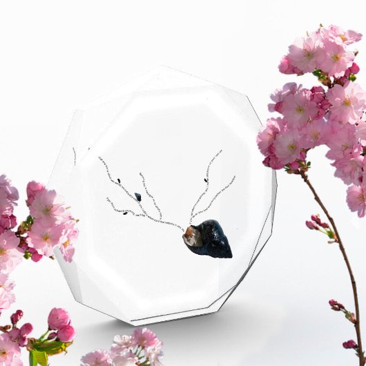 Bloc Photo Poésie de motivation côtière accessoires de bureau