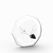 Bloc Photo Poésie de motivation côtière accessoires de bureau (Gauche)