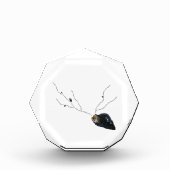 Bloc Photo Poésie de motivation côtière accessoires de bureau (Devant)