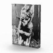 Bloc Photo Pooch (Droite)