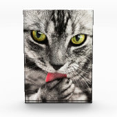 Bloc photo Portrait de chat mignon (Devant)