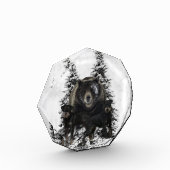 Bloc Photo Poster Tapisserie Jagdterrier Acrylique Triptyque  (Gauche)