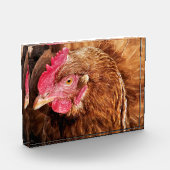 BLOC PHOTO POULET CUIT (Gauche)