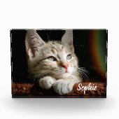 Bloc photo pour animaux (Devant)