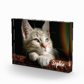Bloc photo pour animaux (Droite)