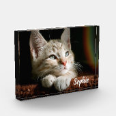 Bloc photo pour animaux (Gauche)