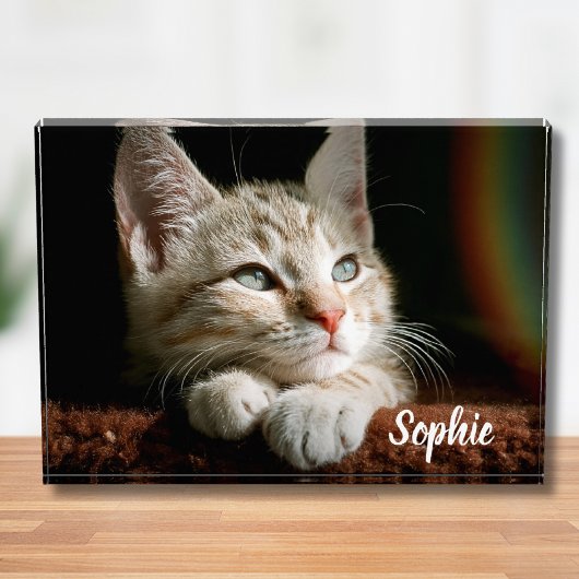 Bloc photo pour animaux