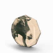 Bloc Photo Profil de chèvre (Droite)