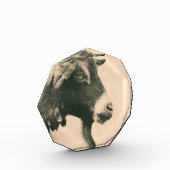 Bloc Photo Profil de chèvre (Gauche)