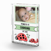 Bloc Photo Promoted to grandma ladybugs green (Droite)