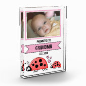 Bloc Photo Promoted to grandma ladybugs pink (Gauche)