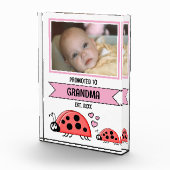 Bloc Photo Promoted to grandma ladybugs pink (Droite)