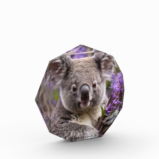 Bloc Photo Purple Jacaranda Koala Ours, (Gauche)