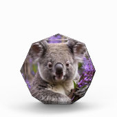 Bloc Photo Purple Jacaranda Koala Ours, (Devant)