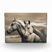 Bloc Photo Quart De Chevaux Sur Les Prairies Canadiennes (Devant)