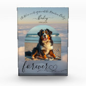 Bloc Photo Rainbow Bridge-Clouds Pet Memorial (Devant)