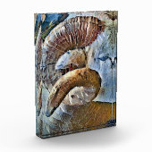 BLOC PHOTO RAM SHEEP FARM ANIMAL (Gauche)