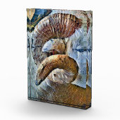 BLOC PHOTO RAM SHEEP FARM ANIMAL (Droite)