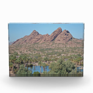 Bloc Photo Red Rocks Arizona Palm Tree Paysage Photo Désert