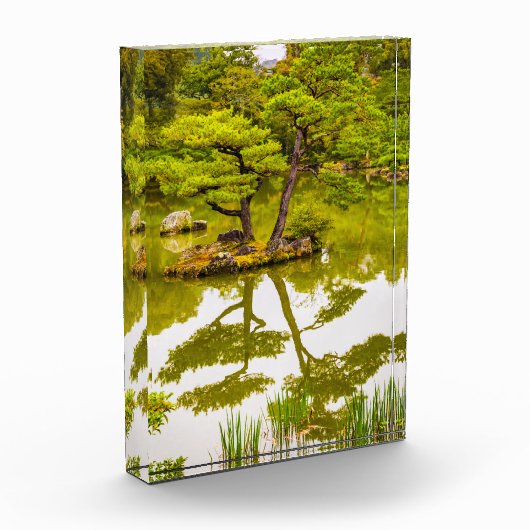 Bloc Photo Réflexions (Gauche)