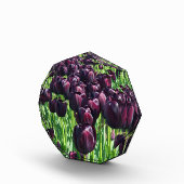 Bloc Photo Reine des Tulips (Droite)