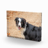 Bloc Photo Renene (Droite)