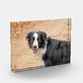 Bloc Photo Renene (Gauche)