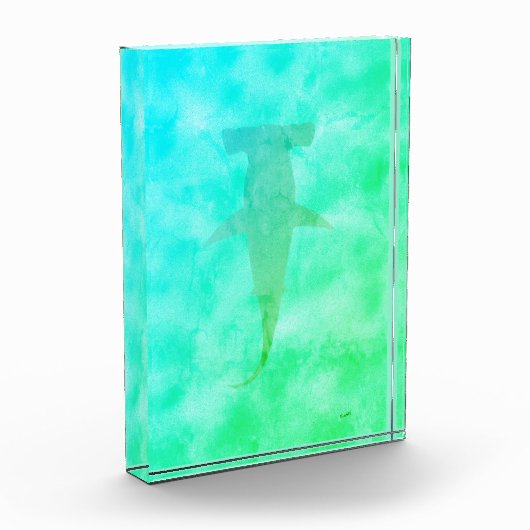 Bloc Photo Requin marteau (Gauche)