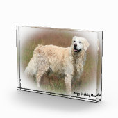 Bloc Photo Retriever doré. (Droite)