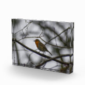 Bloc Photo Robin  (Droite)