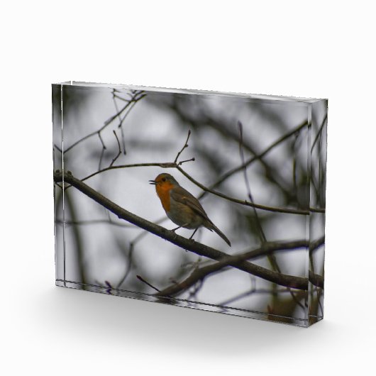 Bloc Photo Robin  (Droite)