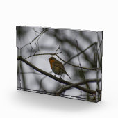 Bloc Photo Robin  (Droite)