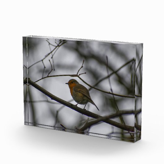 Bloc Photo Robin  (Droite)