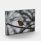 Bloc Photo Robin  (Gauche)