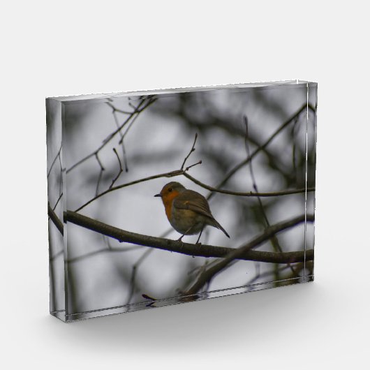 Bloc Photo Robin  (Gauche)