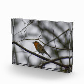 Bloc Photo Robin  (Droite)