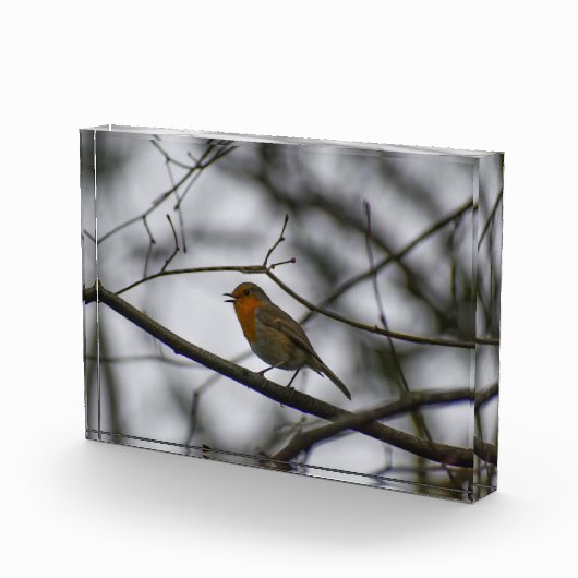 Bloc Photo Robin  (Droite)