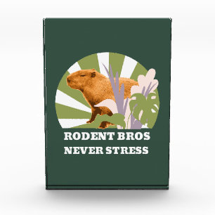 Bloc Photo Rongeurs Frères Ne Stressez Jamais Capybara