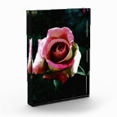 Bloc Photo rose (Gauche)
