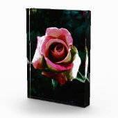 Bloc Photo rose (Droite)