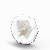 Bloc Photo Rose Blanche (Droite)
