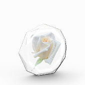 Bloc Photo Rose Blanche (Gauche)