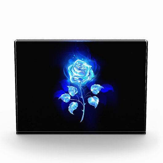 Bloc Photo Rose bleu brûlant (Devant)