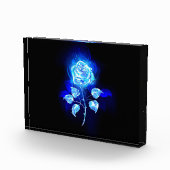 Bloc Photo Rose bleu brûlant (Droite)